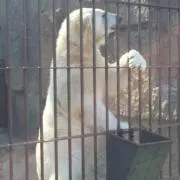 totoの画像