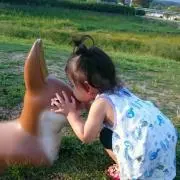 しょ