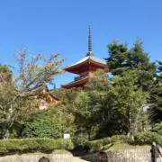 たっくん