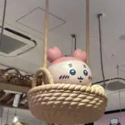 まむの画像