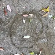 とむ