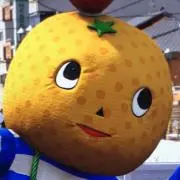 断捨離マヨ太郎。の画像