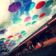sachapin☺︎の画像