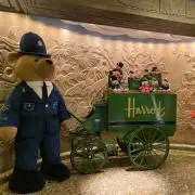 miniの画像