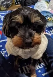 ♡５児mama♡の画像