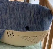 よっしーの画像