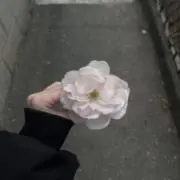 ^_ .̫ _^の画像