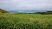 MAROの画像
