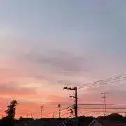ぽん