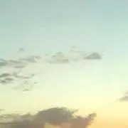 mimuの画像