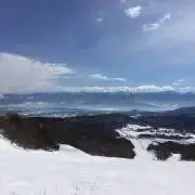 ボールボーイ