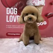 ツナの画像