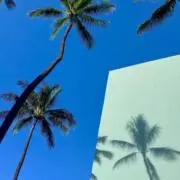 soyo_lifeの画像