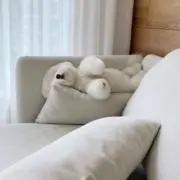 raaa！