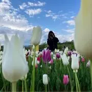 まーの画像