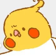 オカメいんこの画像