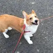 yyy