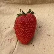 ぽの画像