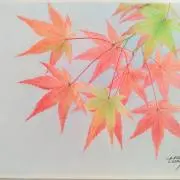 くるさんの画像