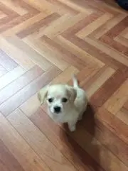 hugの画像