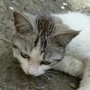 ゆっぴ。