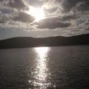 リディの画像