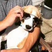 な