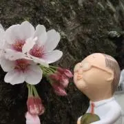 nao