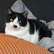 つなまよの画像