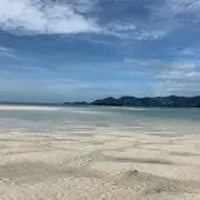 バジルの画像