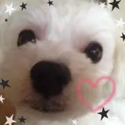 yo_hina♡の画像