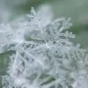 ma_  断捨離中の画像
