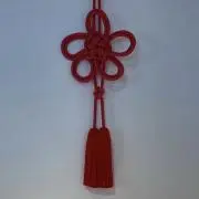 きぬぬの画像