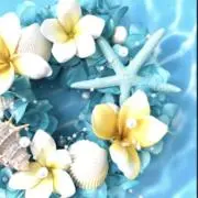 ❤︎plumeria❤︎の画像