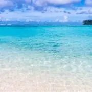 ガクトの画像