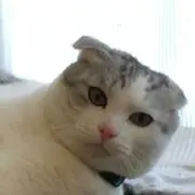 なおの画像
