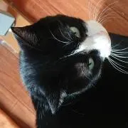 タロキチ
