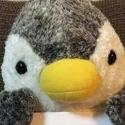 tomoちん