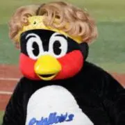 2896の画像