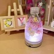 おとぎの国の画像