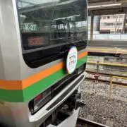 みっちゃんの画像