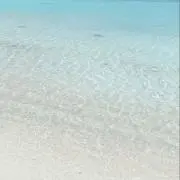 はるの画像