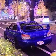 yoshiの画像