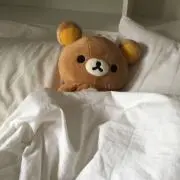 コグマの画像