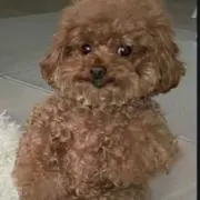 ふわ【◆プロフ必読】