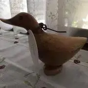 オレンジの画像