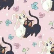 *Luna⭐︎Artemis *の画像
