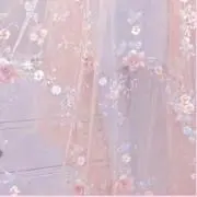 うめぼしの画像