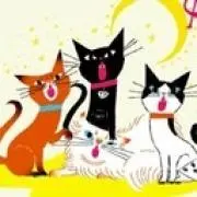 うさねこばあの画像