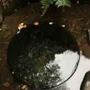 ちびちゃんの画像